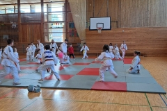 IMG-20240703-WA0034
