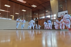20230421_165414-scaled