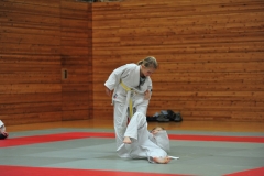 DCM_2846