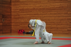 DCM_2860
