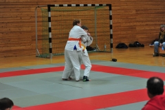 DCM_2878