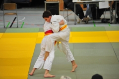 DCM_3565