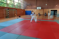 jap11