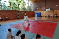 jap13