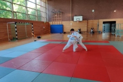 jap14