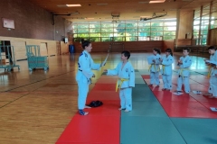 jap19
