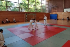 jap3