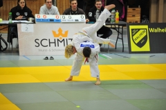 DCM_4703-Kopie