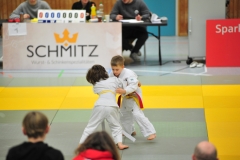 DCM_4733-Kopie