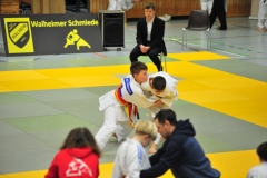 DCM_4775-Kopie