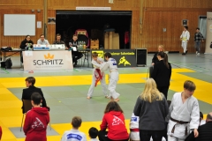 DCM_4953