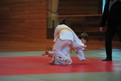 DCM_3170