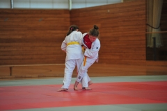 DCM_3172