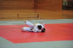 DCM_3306