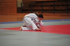 DCM_4174