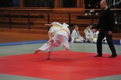 Uchi-mata