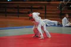 DCM_4287-Kopie