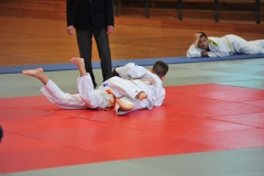 DCM_4363