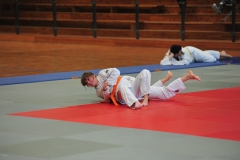 DCM_4371