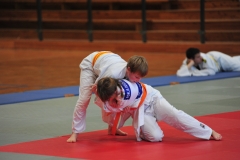 DCM_4379