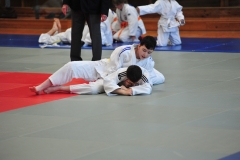 DCM_4394