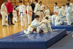 IMG-20231209-WA0116